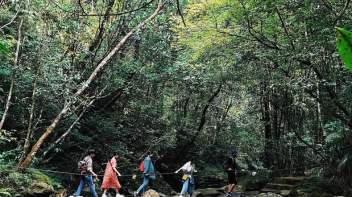 Faire un randonnée à Hué en 1 jour : Découverte du parc national de Bach Ma