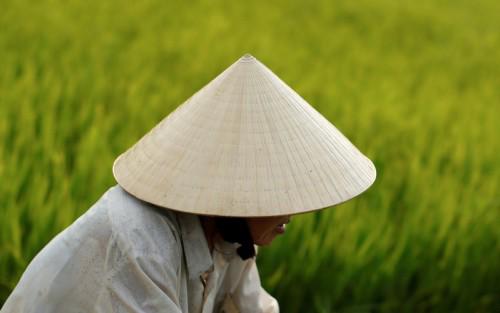Les Vietnamiens utilisent des chapeaux coniques non seulement pour honorer la beauté d''une femme douce, mais il est un objet indispensable dans la vie quotidienne.