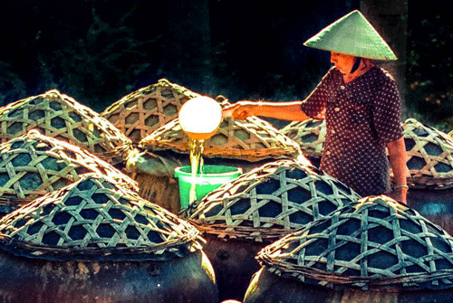 Avec la technique de fabrication de sauce de poisson séparée, la sauce de poisson Phan Thiet est très spéciale et célèbre au Vietnam.