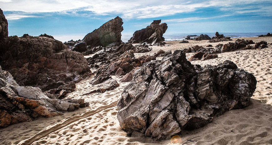 Des pierres en image des crapauds marchant sur le sable