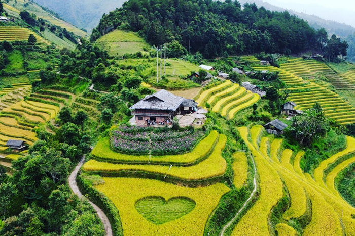 Découvrir la beauté du Vietnam avec Du Lich Viet