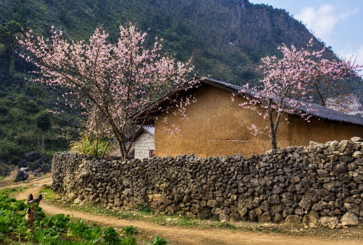 Meilleure période pour visiter la Maison de Pao