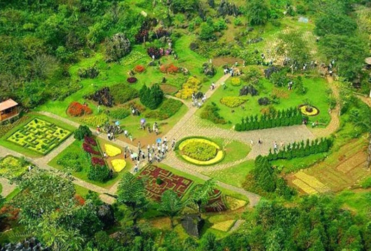 Un coin de nature fleuri au mont Ham Rong lors d’un itinéraire à Sapa