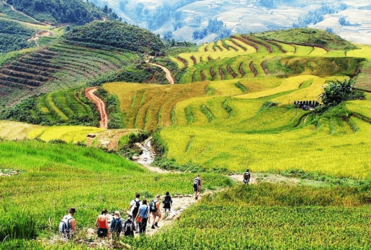 Sapa, Vietnam – paysages de montagne et rizières en terrasses