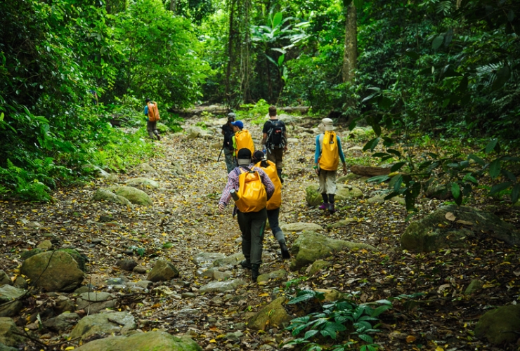 Randonnée au parc national de Cuc Phuong – Une aventure inoubliable lors de votre voyage à Ninh Binh