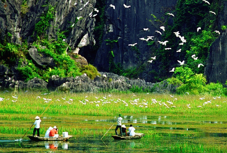 Observation des oiseaux à Van Long – Une des choses à faire à Ninh Binh pour les amoureux de la nature