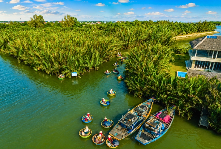 Pourquoi visiter la forêt de cocotiers Bay Mau ?
