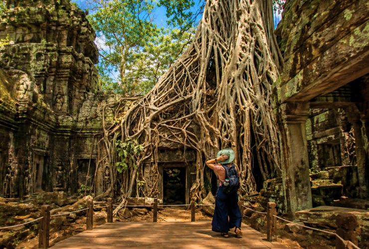 Racines géantes à Ta Prohm lors d’un voyage à Siem Reap Cambodge