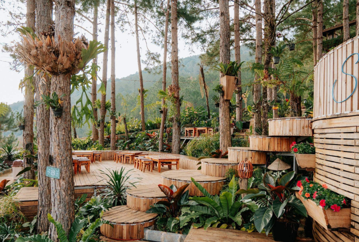 Un superbe coin “check-in” au sein de la zone écotouristique Cao Nguyen Hoa à Dalat