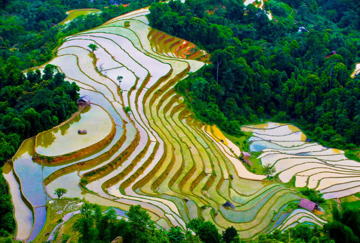 La saison de l’eau à Hoang Su Phi offre également une beauté splendide, tout aussi impressionnante que celle de la saison des rizières mûres
