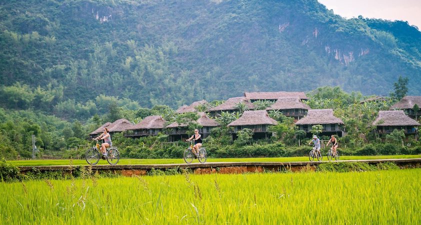 Les touristes font du vélo pour voir les rizières à Hoa Binh