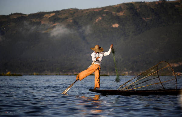 L''image d''un pêcheur Inthar ramant sur une jambe est devenue un symbole d''attraction touristique pour le lac Inle.
