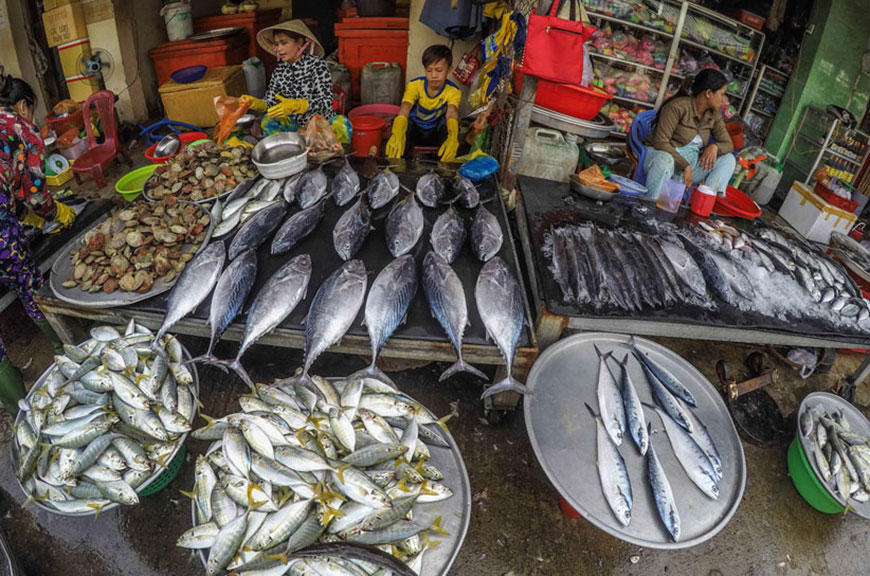 Marché de fruits de mer de Phu Quoc