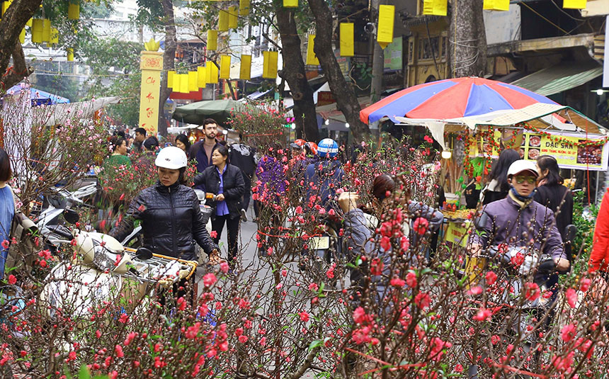 Mọi người sẽ mua hoa đào tại chợ Têt truyền thống