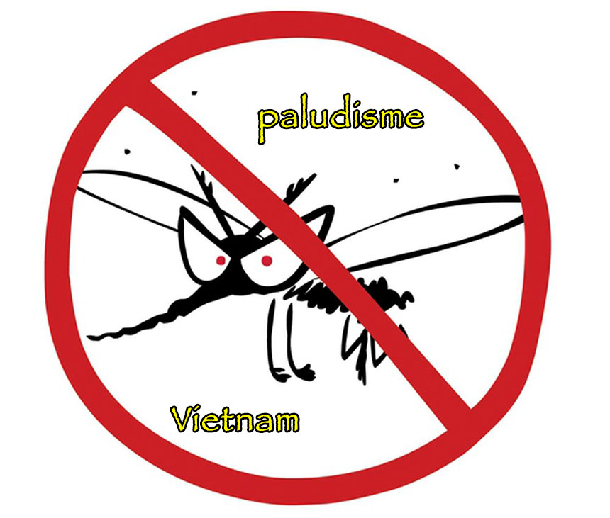 Le paludisme est l''une des maladies les plus courantes au Vietnam