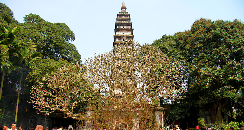 La tour de la pagode Pho Minh