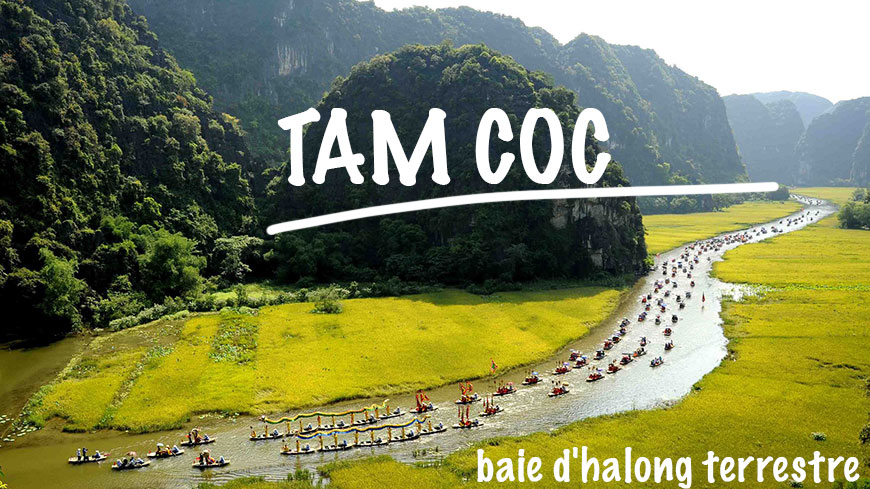 Tam Coc Ninh Binh est comparé à baie d''halong terrestre