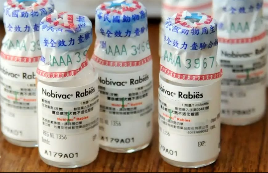 7 vaccins recommandés pour voyager au Vietnam - Vaccin Rage