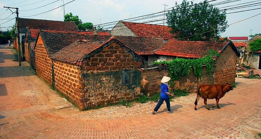 Le village de Duong Lam