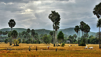 Pursat - La plus grande province du Cambodge