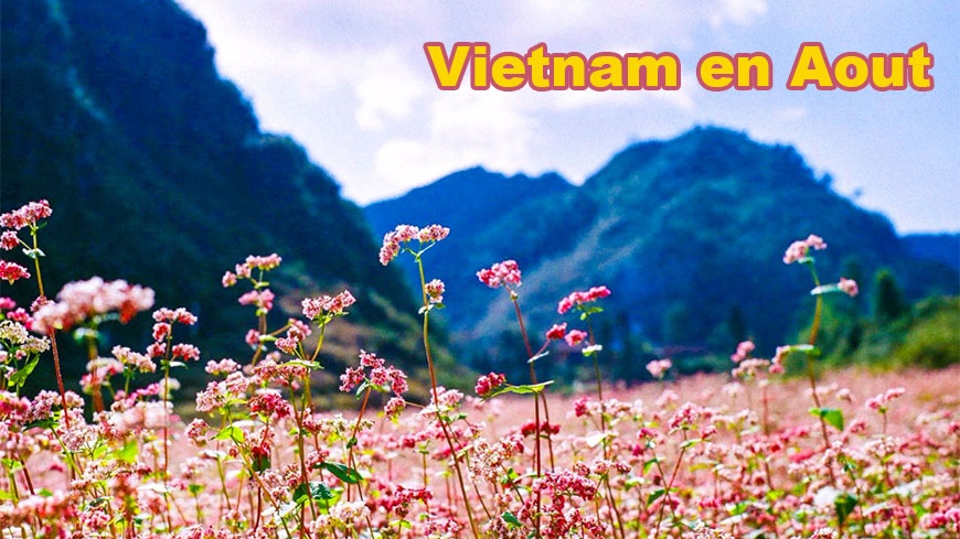 Quelles idées de voyage au Vietnam en Août ? Informations locales