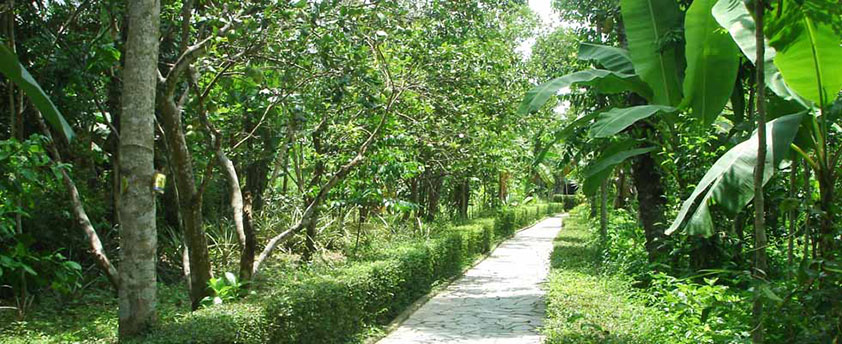 Le jardin autour du Tombeau de l’Empereur Minh Mang