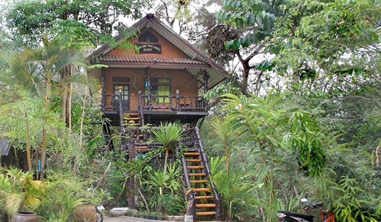 Khaosok Treehouse Resort