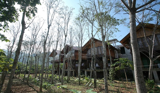 Phong Nha Mountain House