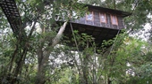 Khaosok Treehouse Resort