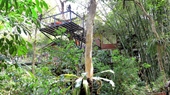 Khaosok Treehouse Resort