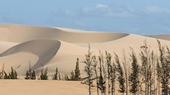 La vision des dunes de sable blanc