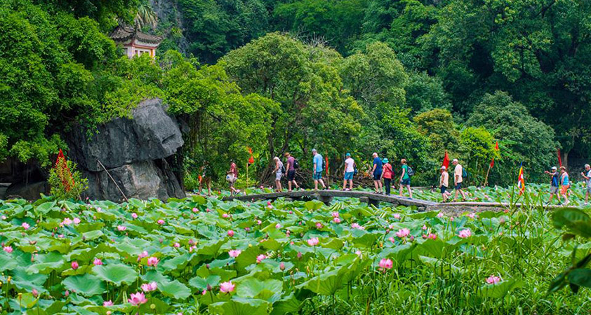 Le chemin à la pagode de Jade (Bich Dong) dans la saison de lotus