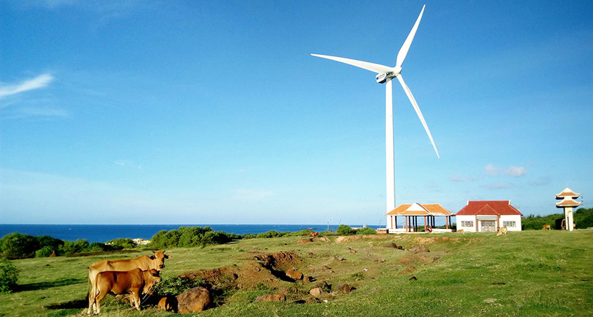 La petite Jeju vietnamienne embellie par des éoliennes